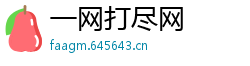 一网打尽网